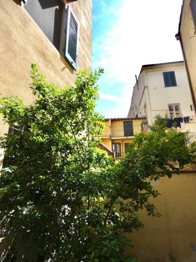 Maila Apartments 25Min From Florence براتو المظهر الخارجي الصورة